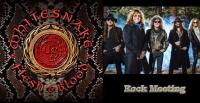 WHITESNAKE Flesh & Blood