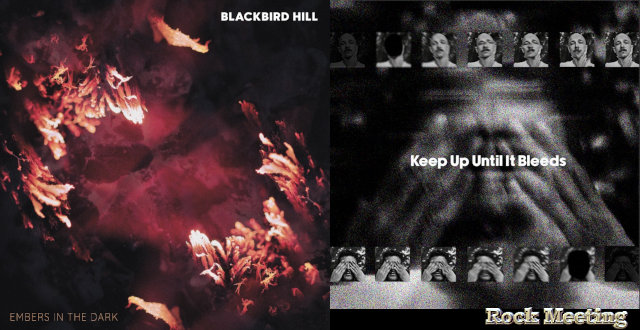 blackbird hill nouvel album nouveau single