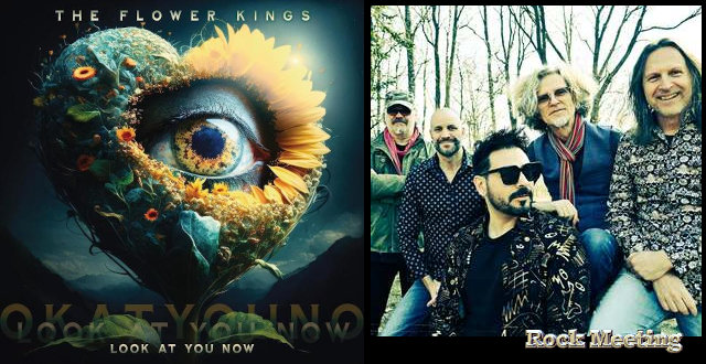 the flower kings look at you now nouvel album