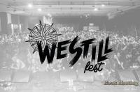 WESTILL Festival - Interview - Gauthier