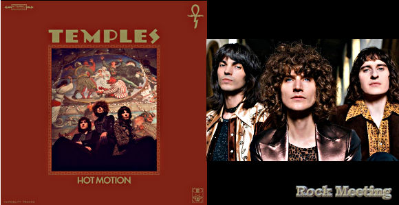the temples hot motion