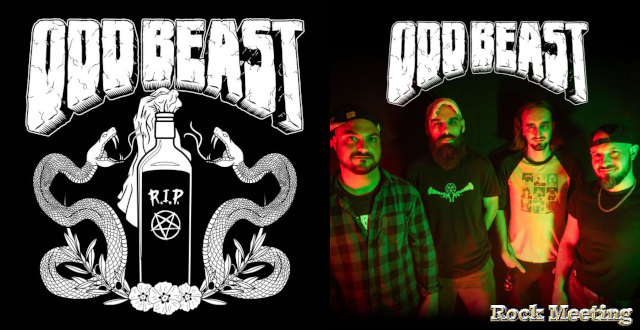 odd beast odd beast nouvel album