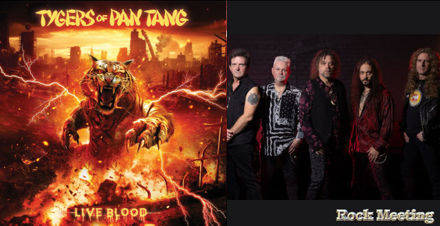 tygers of pan tang live blood nouvel album live gangland video