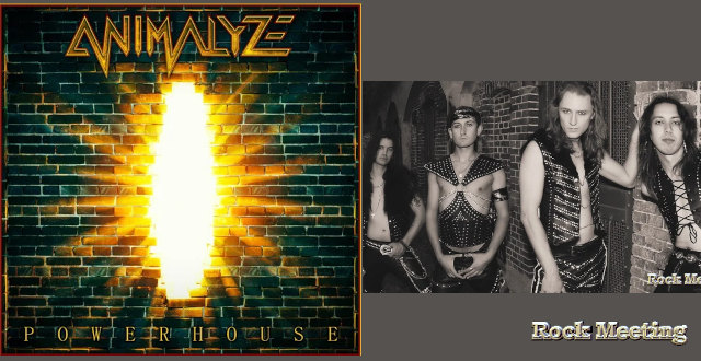 animalyze powerhouse nouvel album