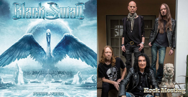 black swan paralyzed