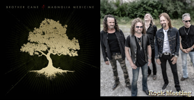 brother cane magnolia medicine chronique