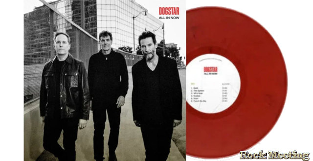 dogstar all in now chronique