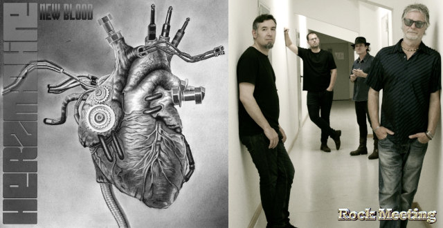 herz machine new blood