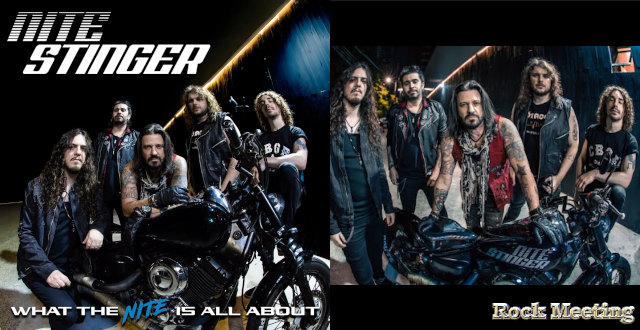 nite stinger what the nite is all about nite stinger what the nite is all about