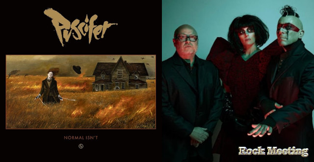 puscifer normal isn t