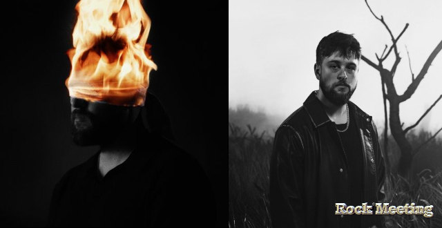 stephen stanley trustfall