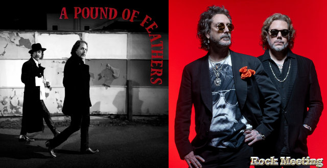 the black crowes a pound of feathers