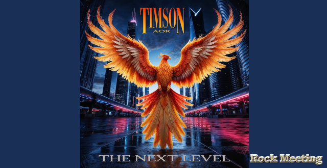 timson aor the next level