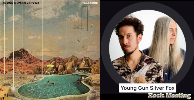 young gun silver fox pleasure