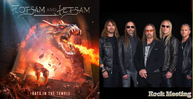 flotsam and jetsam rats in the temple