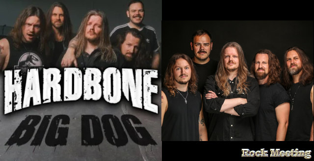 hardbone big dog hardbone big dog