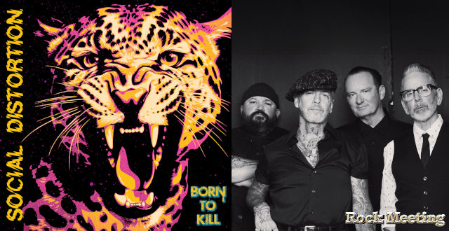 social distortion born to kill