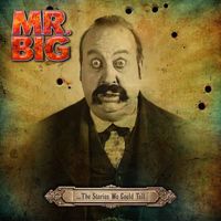 Mr BIG ...The Stories We Could Tell