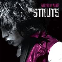 THE STRUTS  Everybody Wants