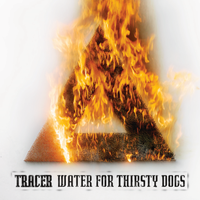 TRACER  Water for Thirsty Dogs